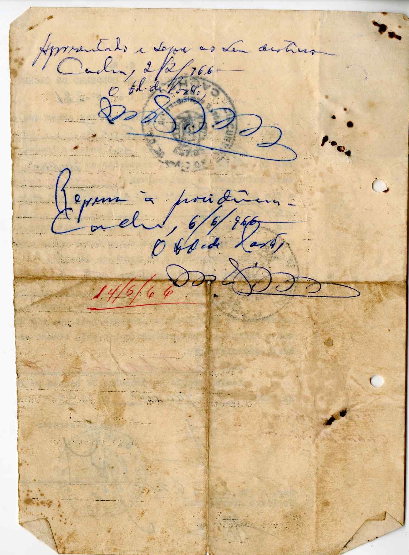 11186.009- pag.205