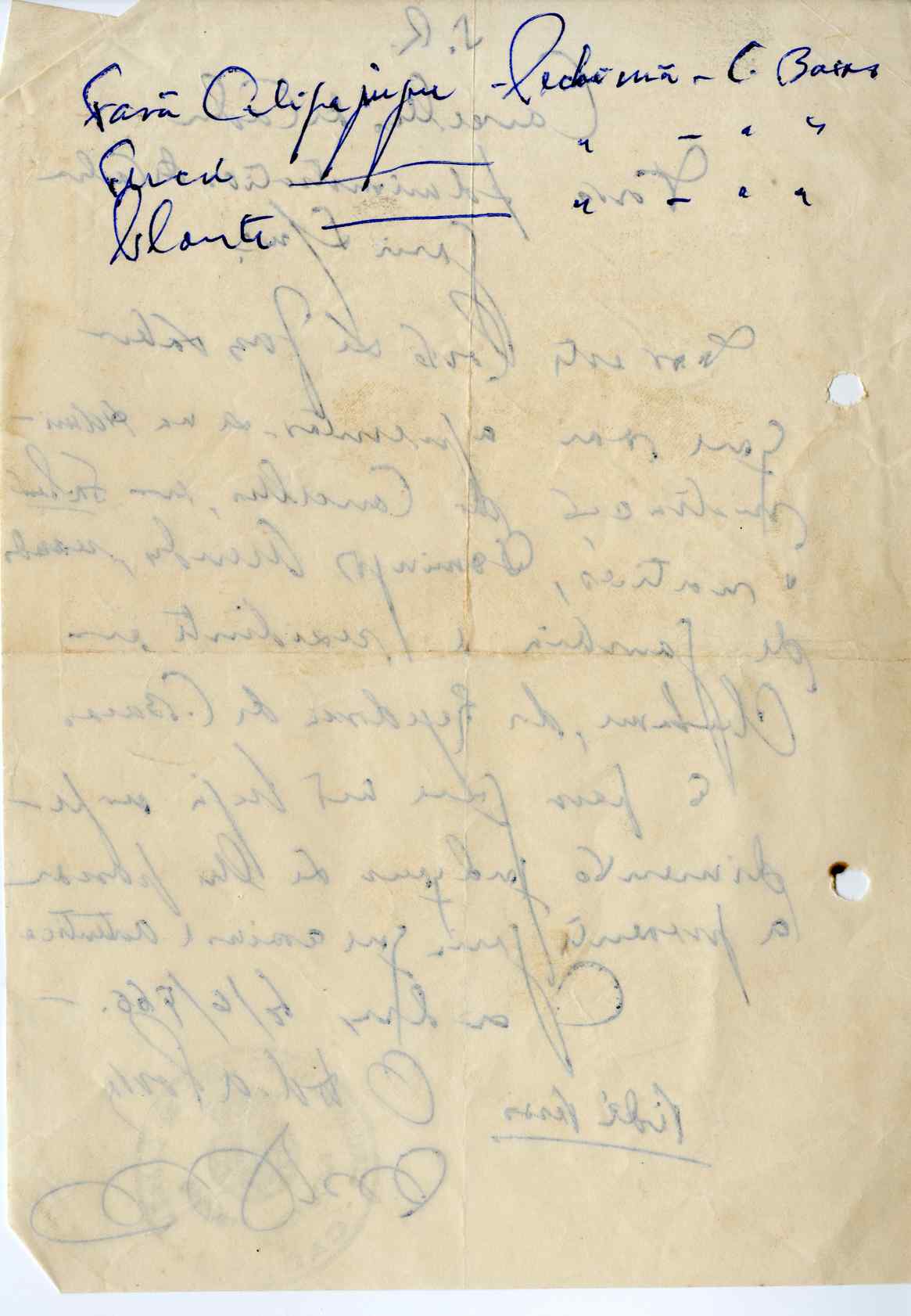11186.009- pag.224