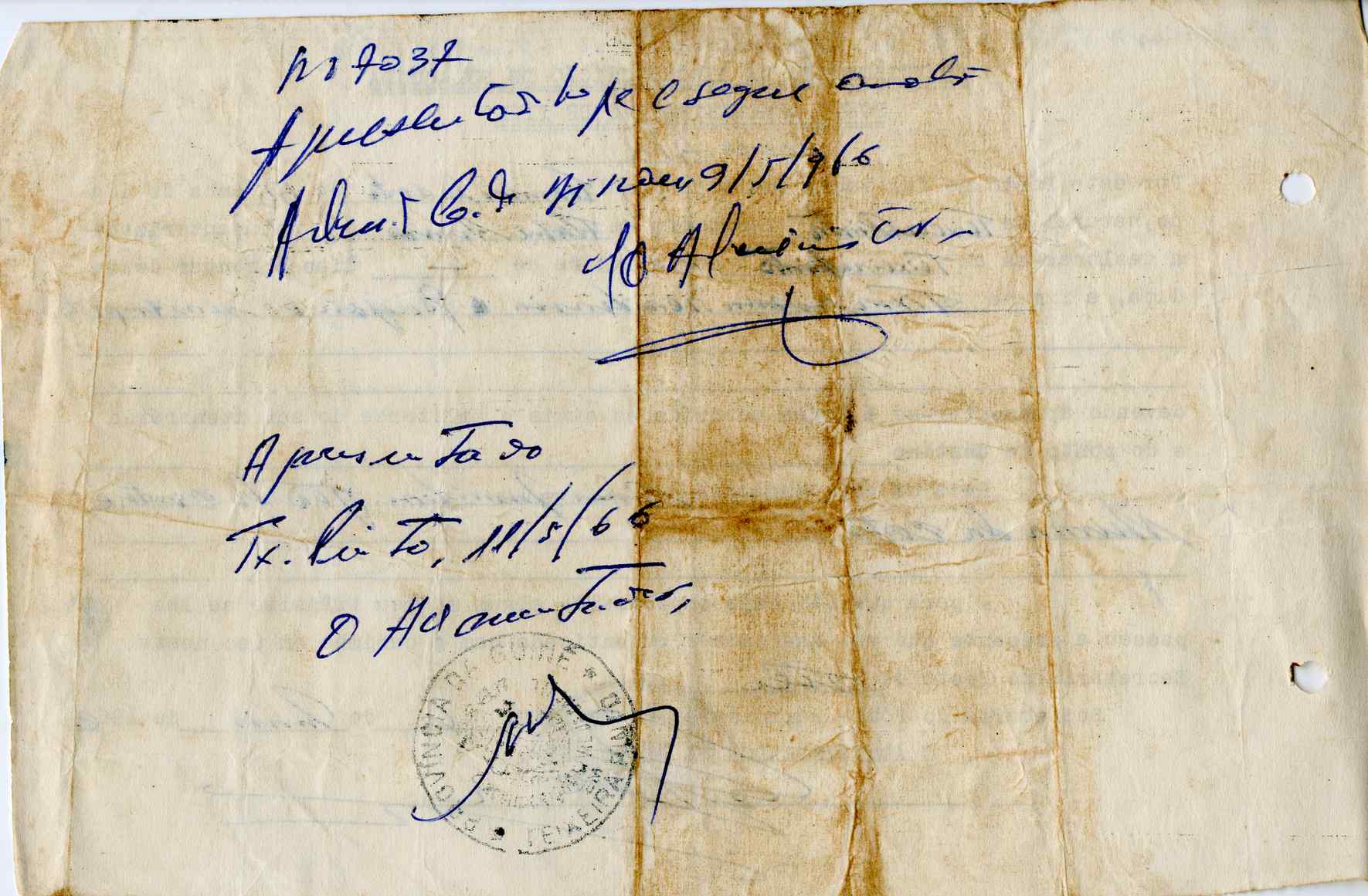 11186.009- pag.253