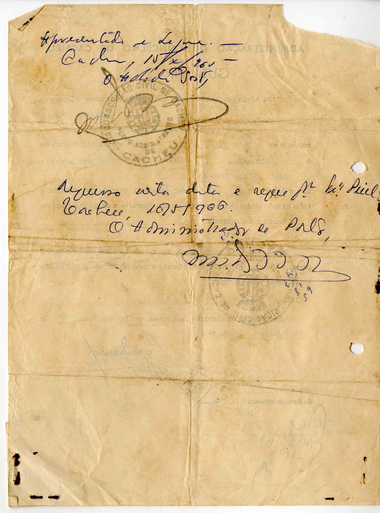11186.009- pag.274