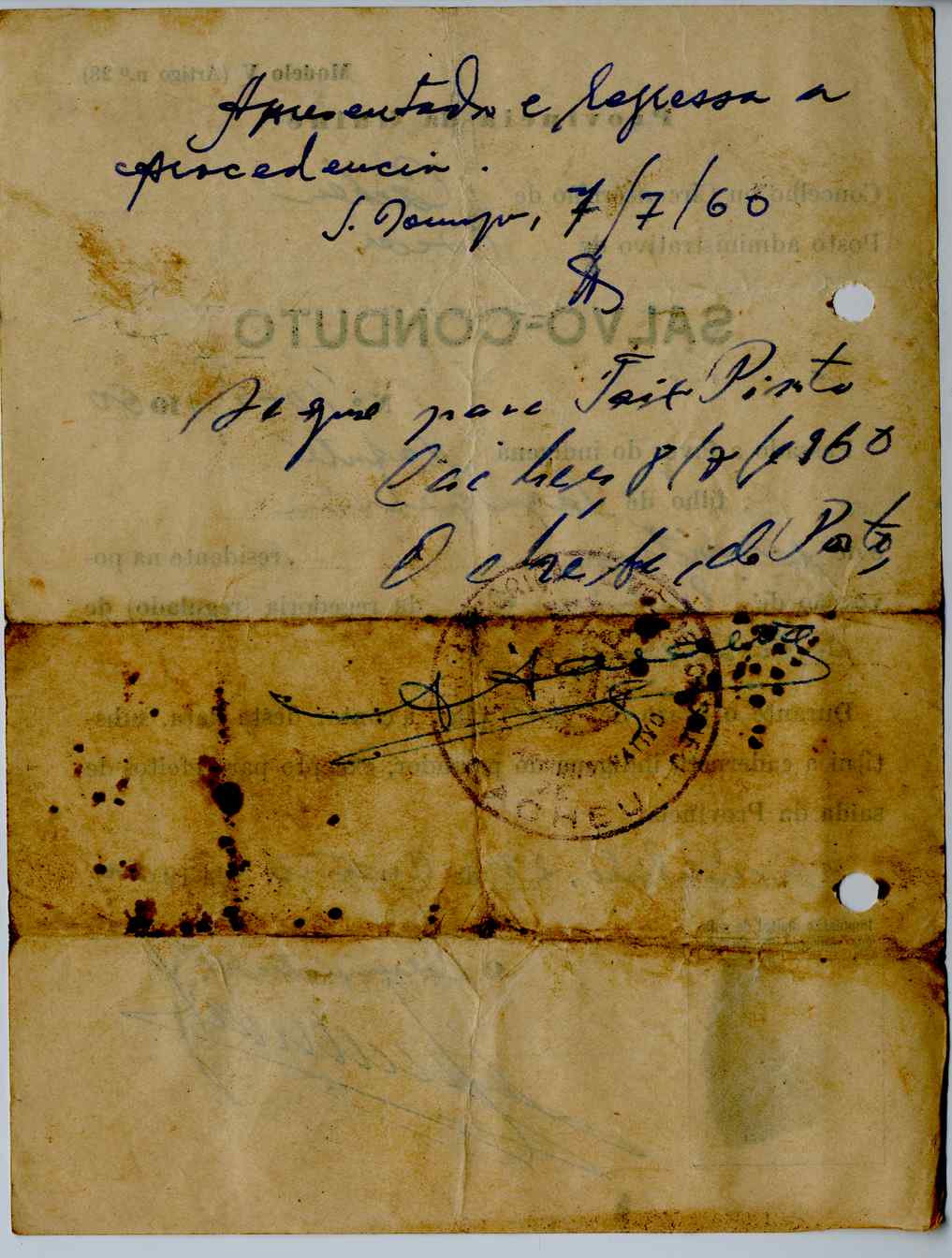 11189.006- pag.66