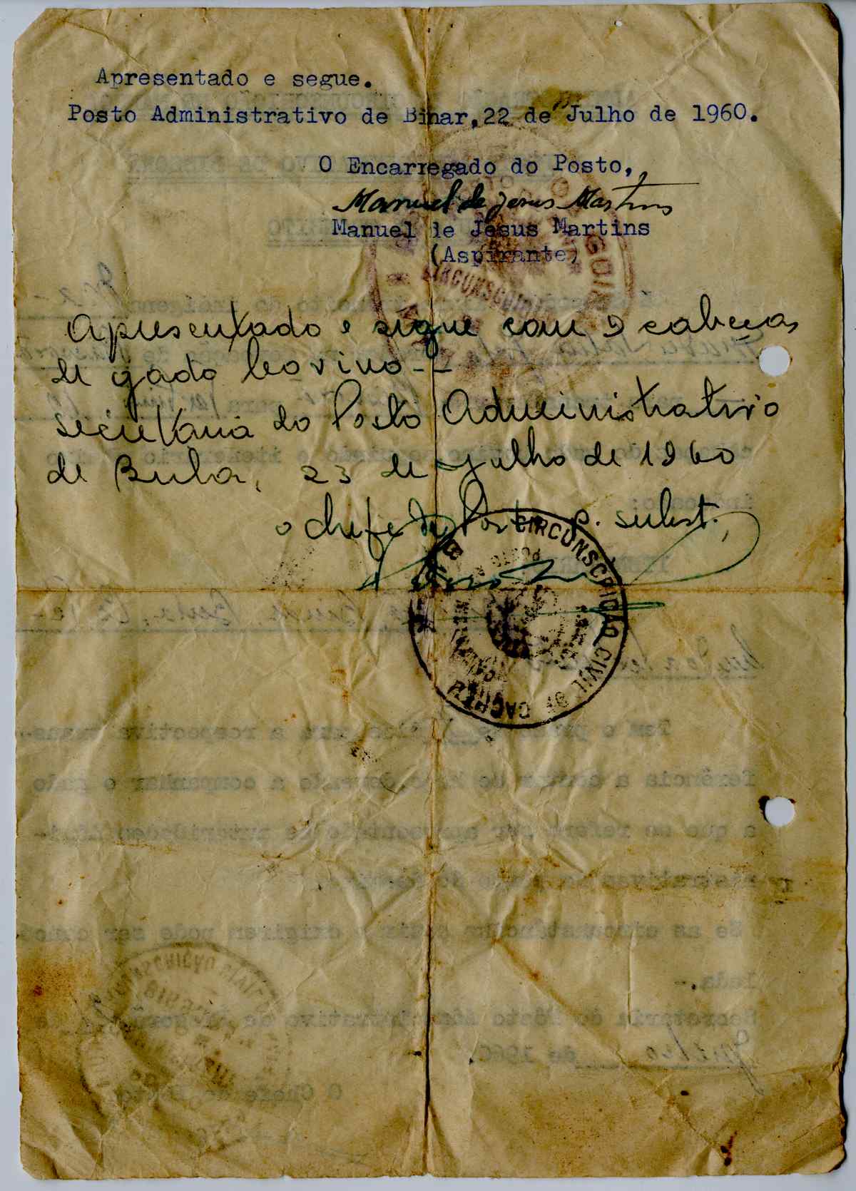 11189.006- pag.204