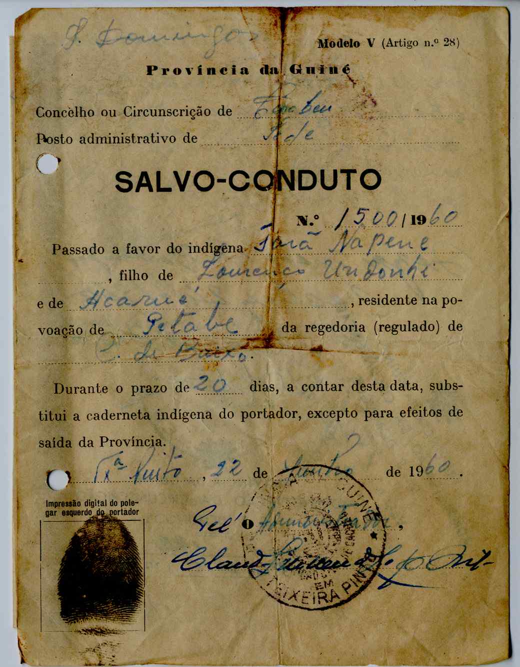 11189.006- pag.271