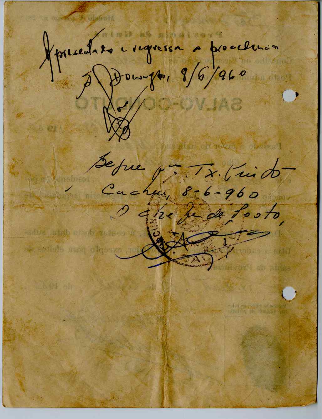 11189.006- pag.346