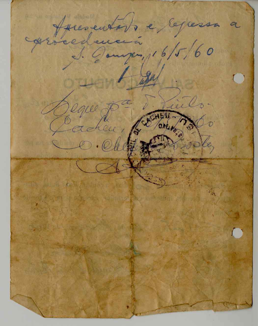 11189.006- pag.376