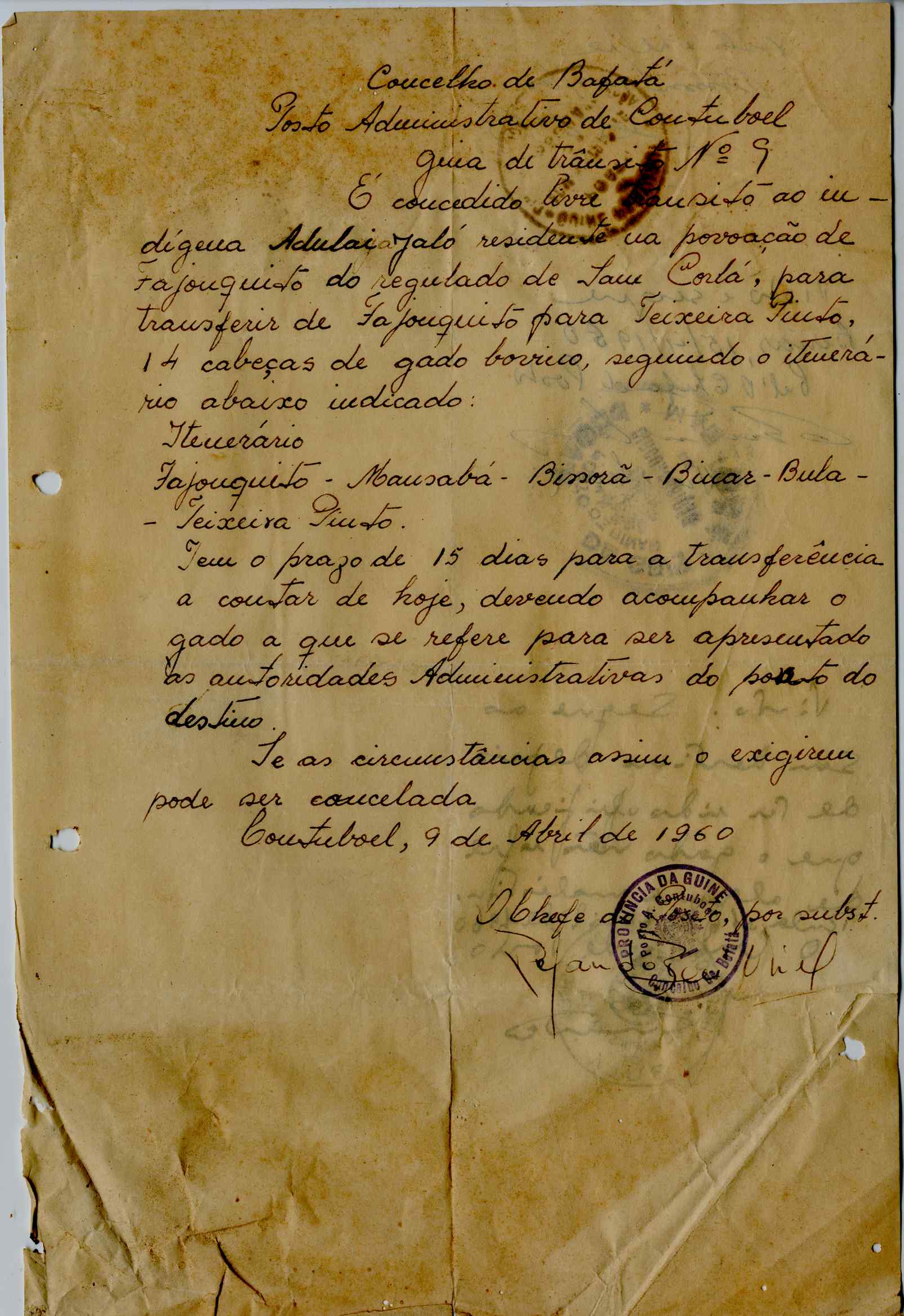 11189.006- pag.404