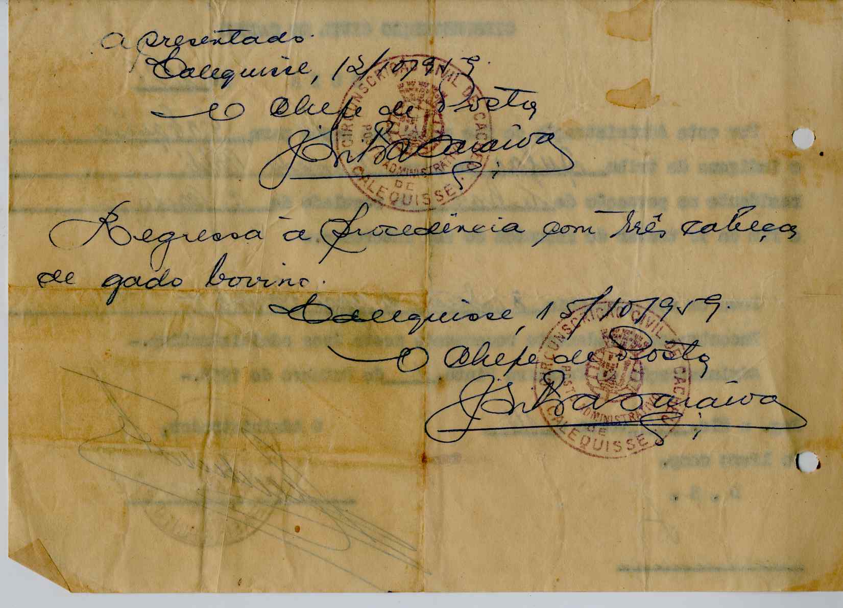 11189.006- pag.529