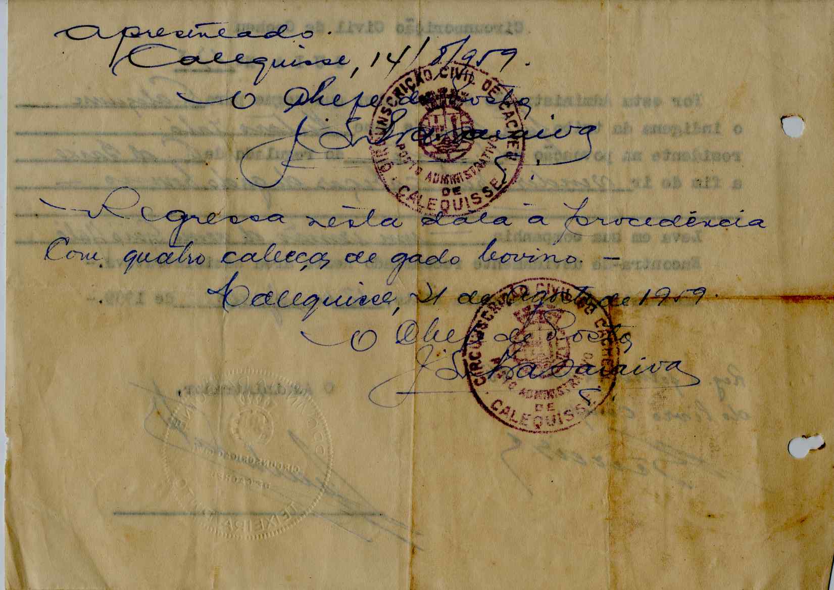 11189.006- pag.533