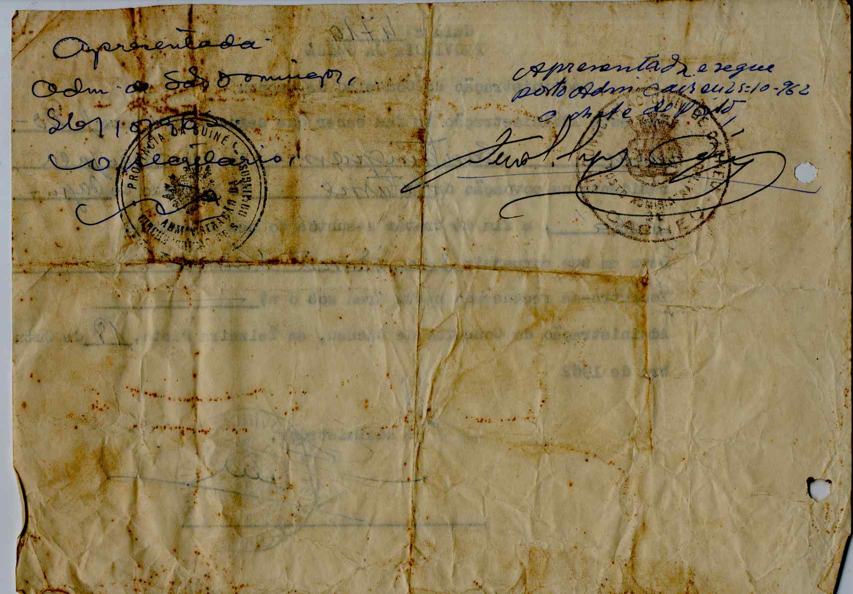 11189.011- pag.293