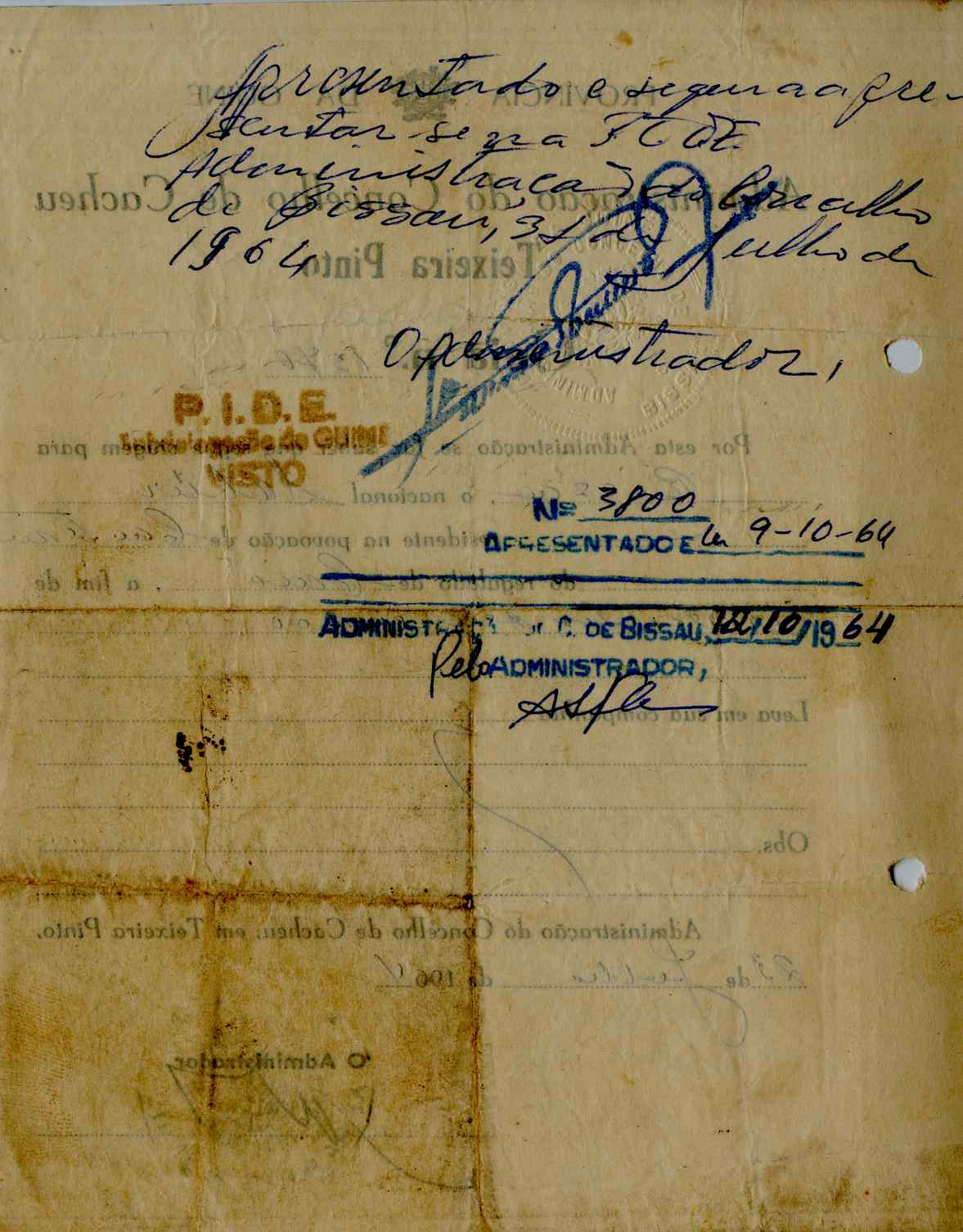11189.012- pag.305