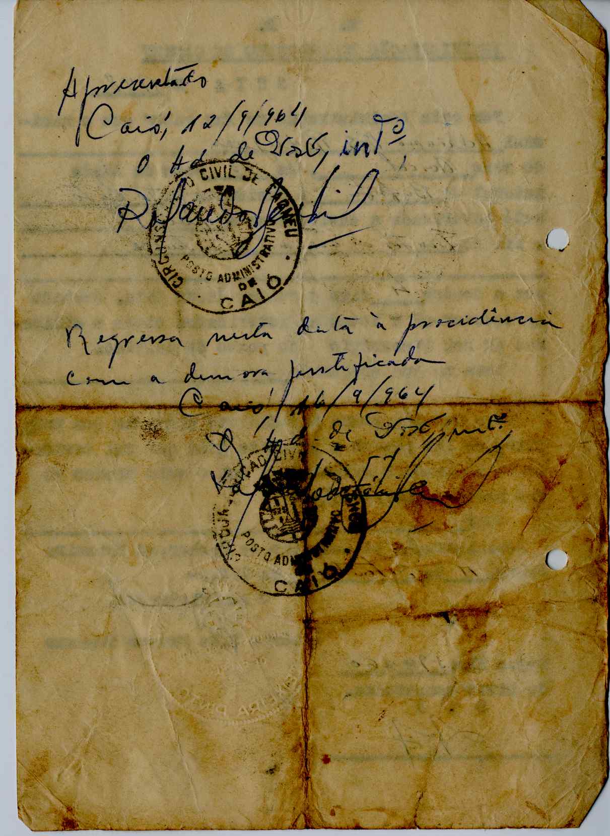 11189.012- pag.384