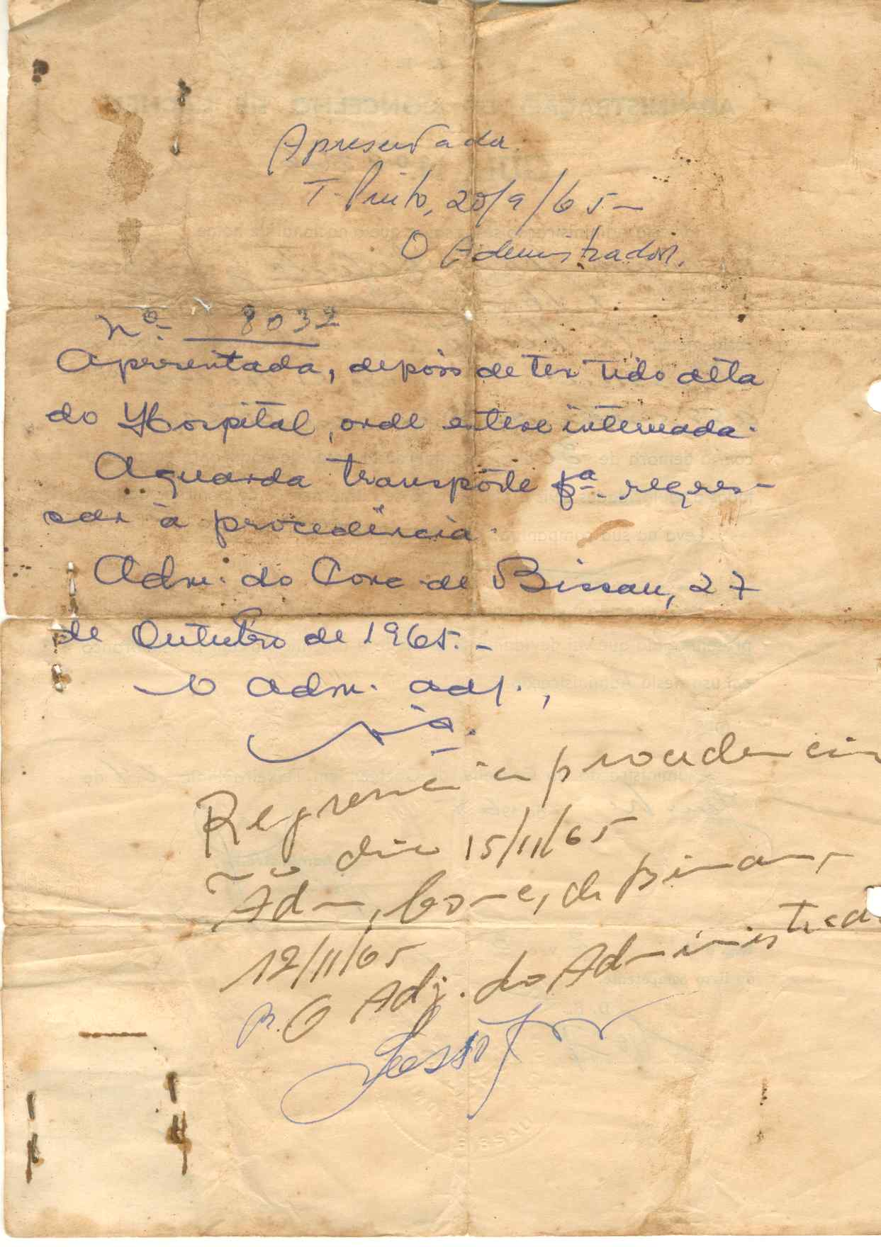 11190.001- pag.259