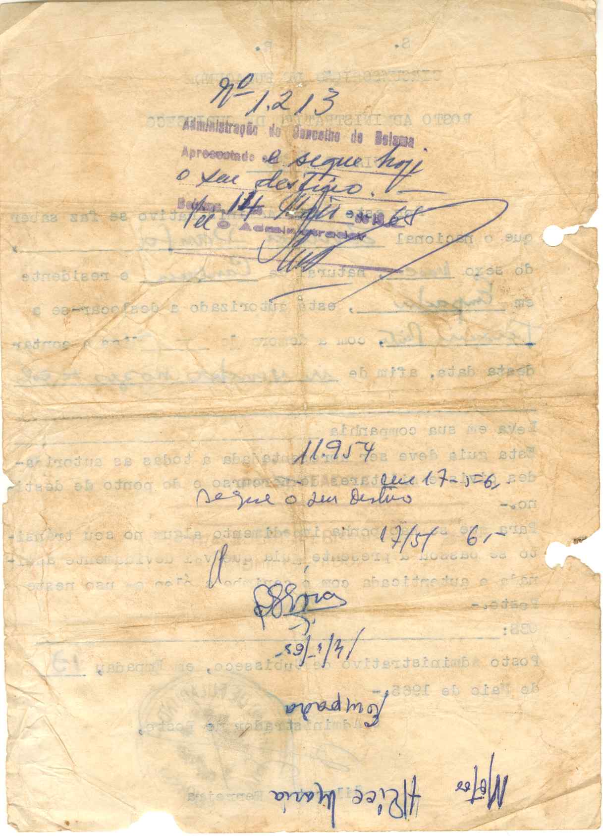 11190.002- pag.291