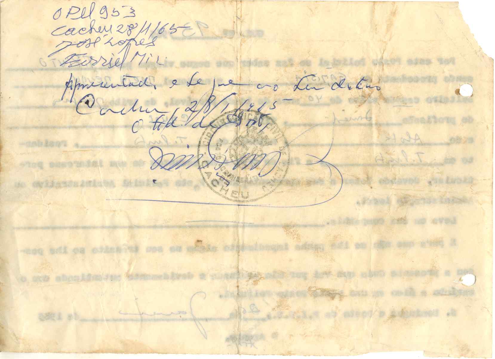 11190.002- pag.454