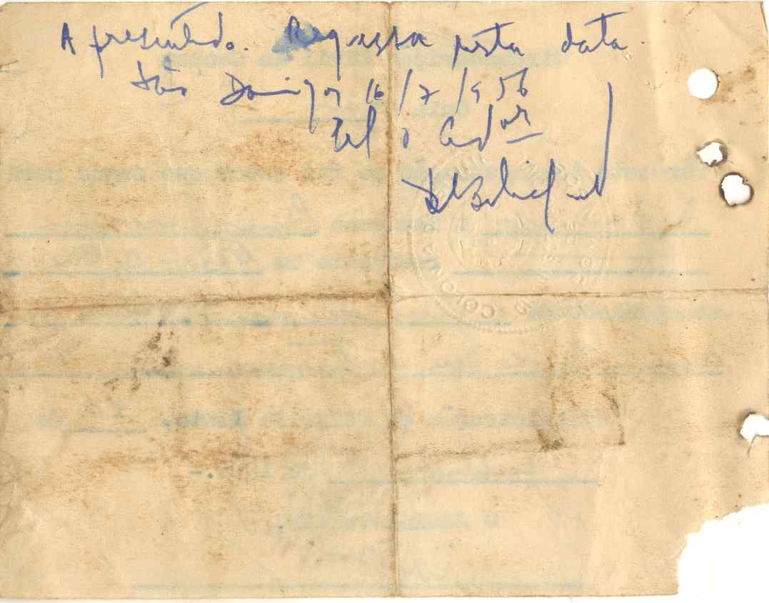 11190.008- pag.288