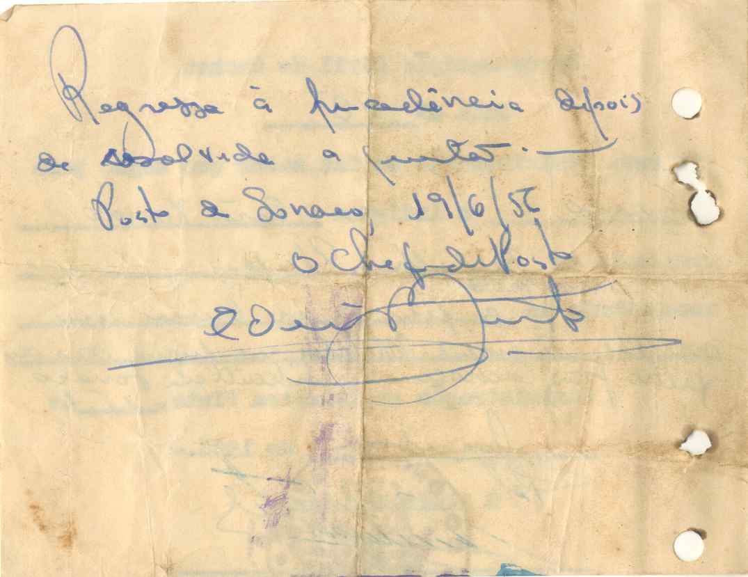 11190.008- pag.295