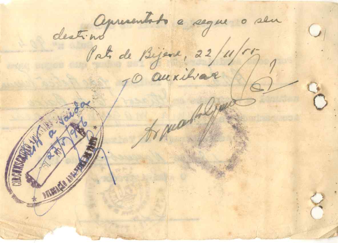 11190.008- pag.300