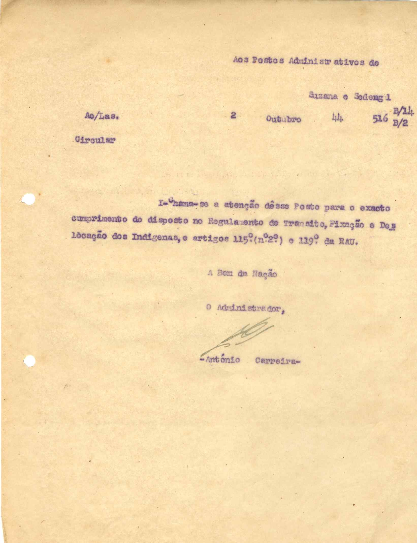 11193.001- pag.196