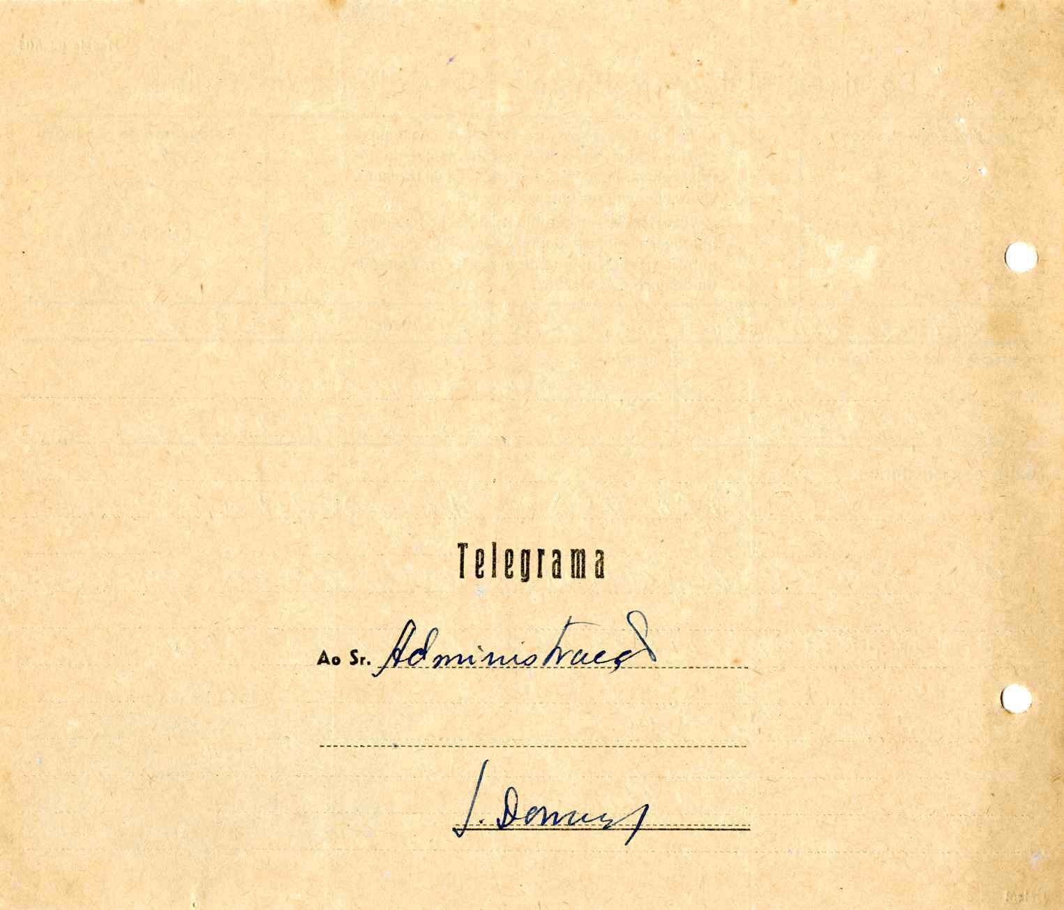 11194.003- pag.116