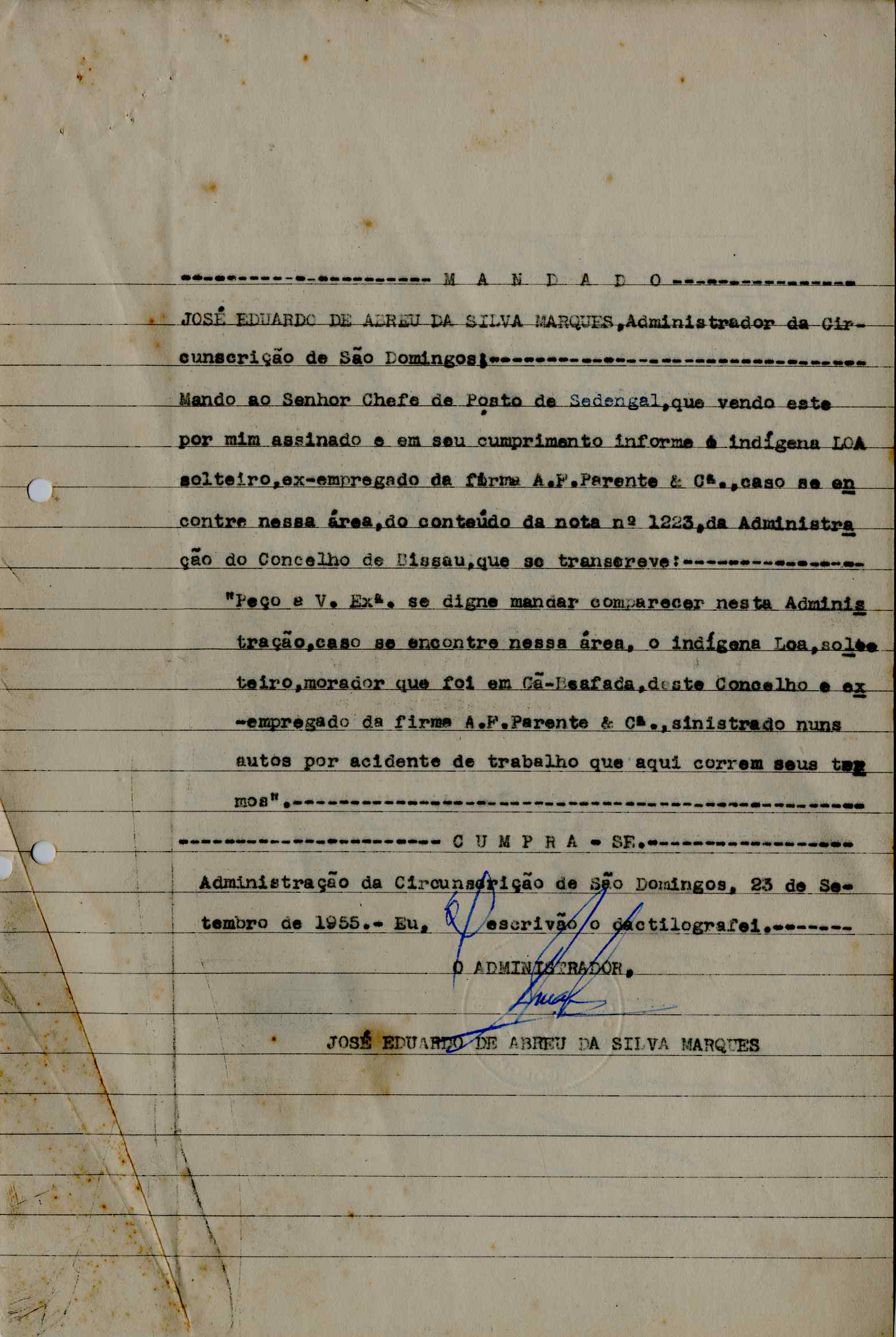 11196.013- pag.204
