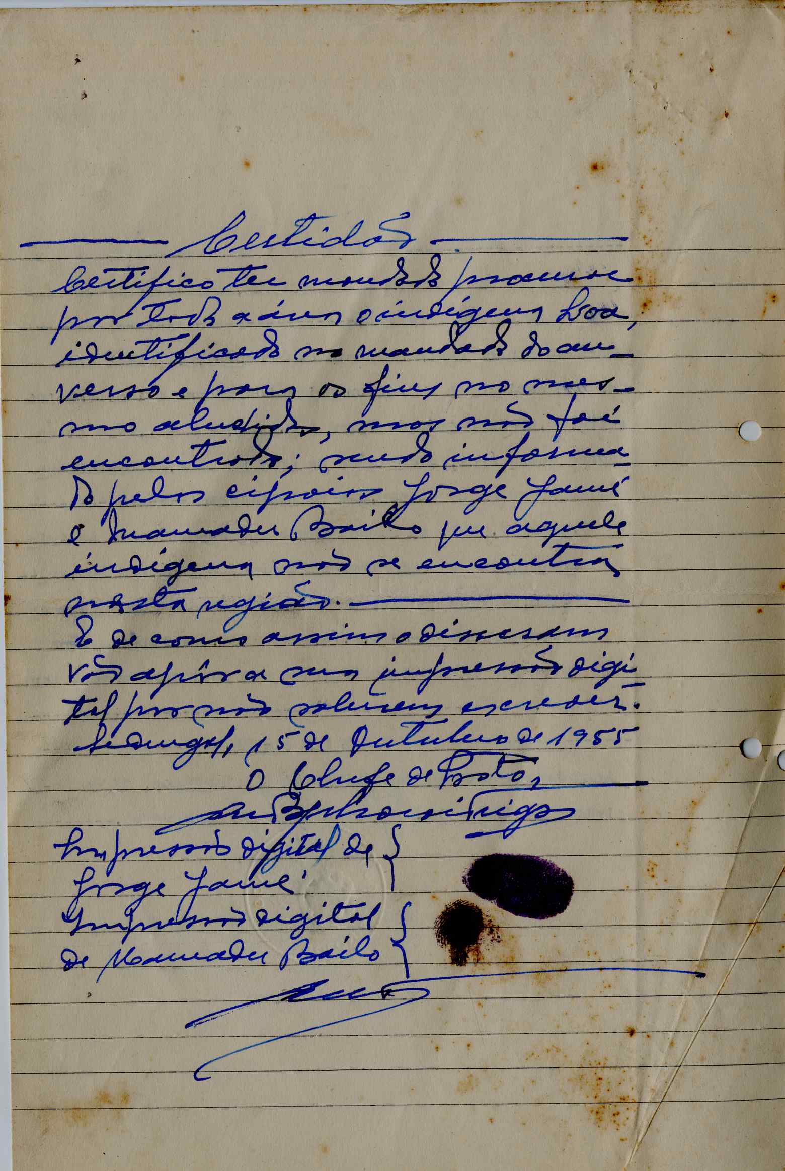 11196.013- pag.205