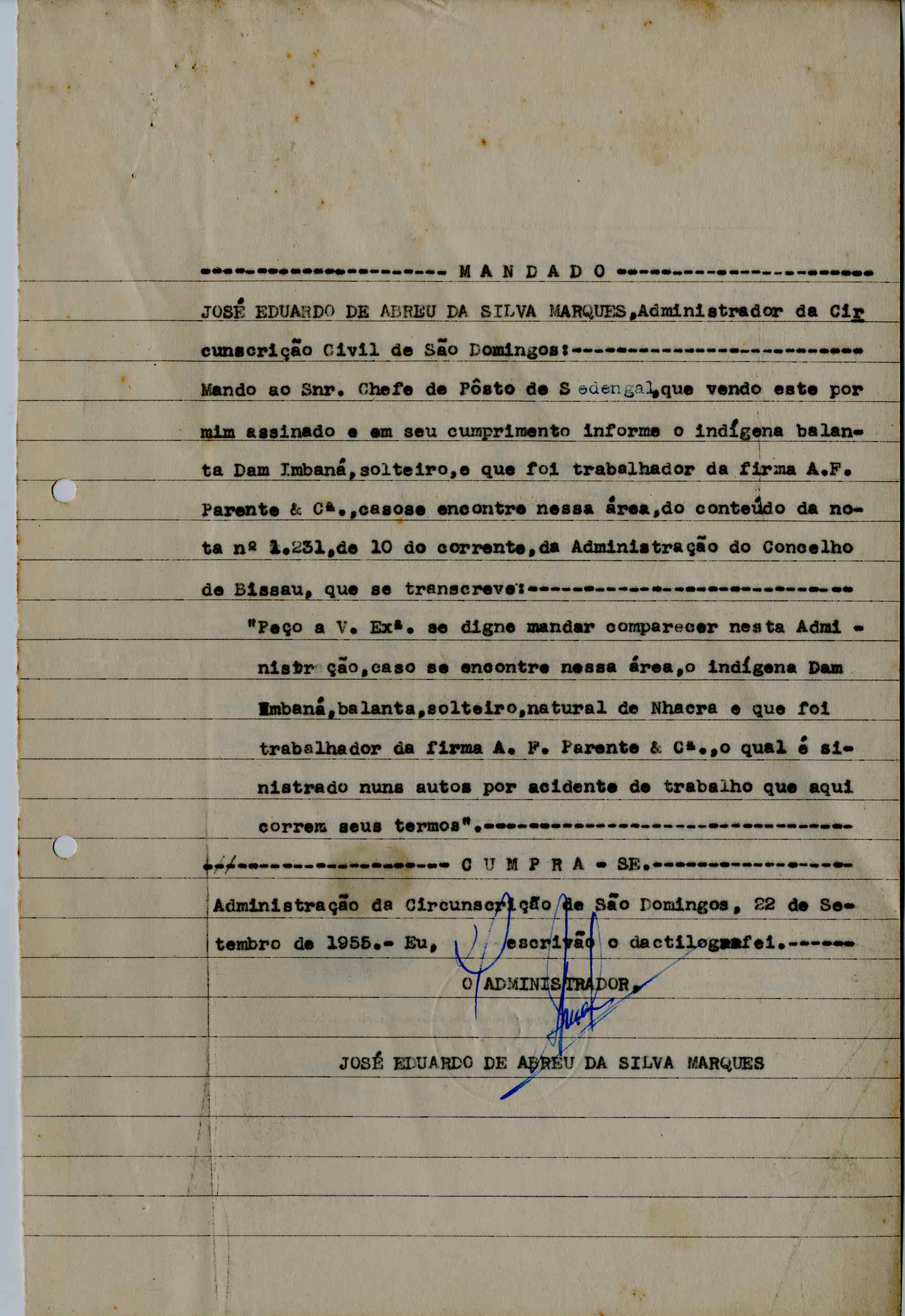 11196.013- pag.215