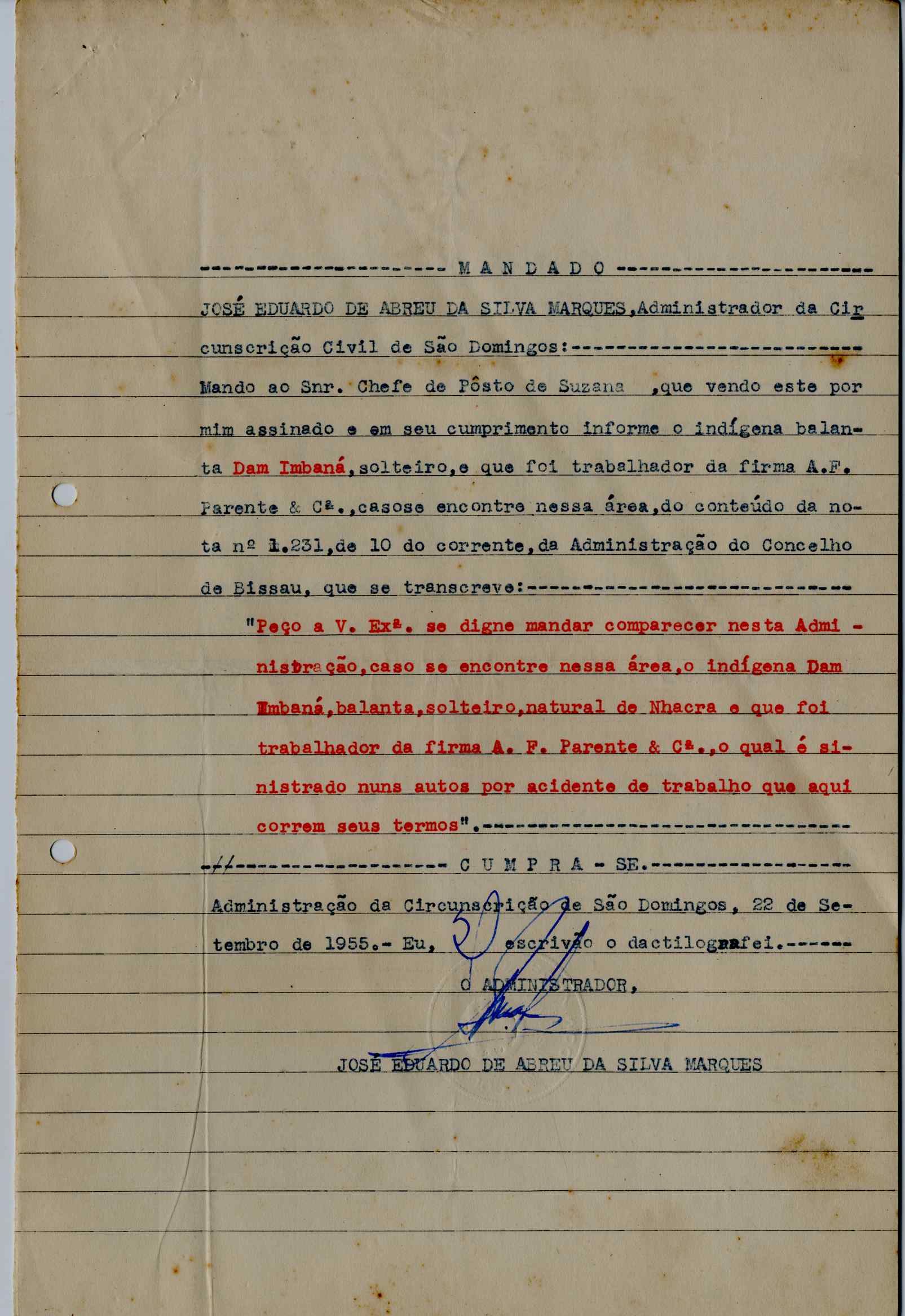 11196.013- pag.217