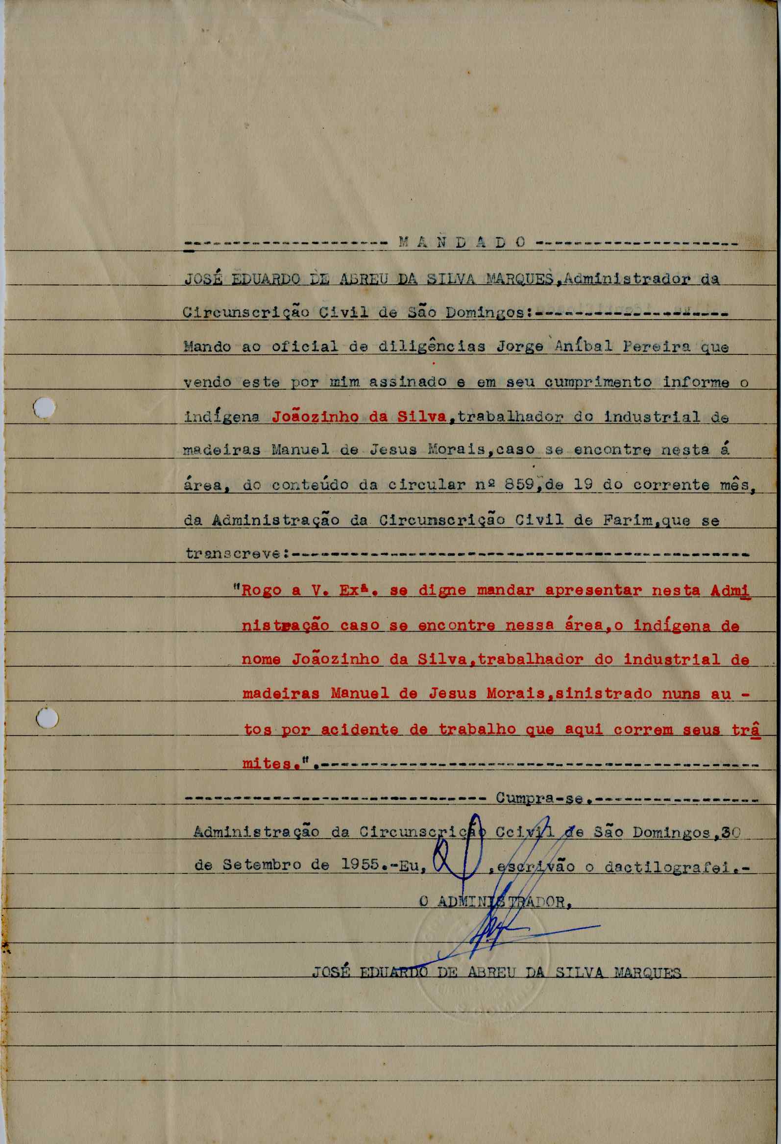 11196.013- pag.223