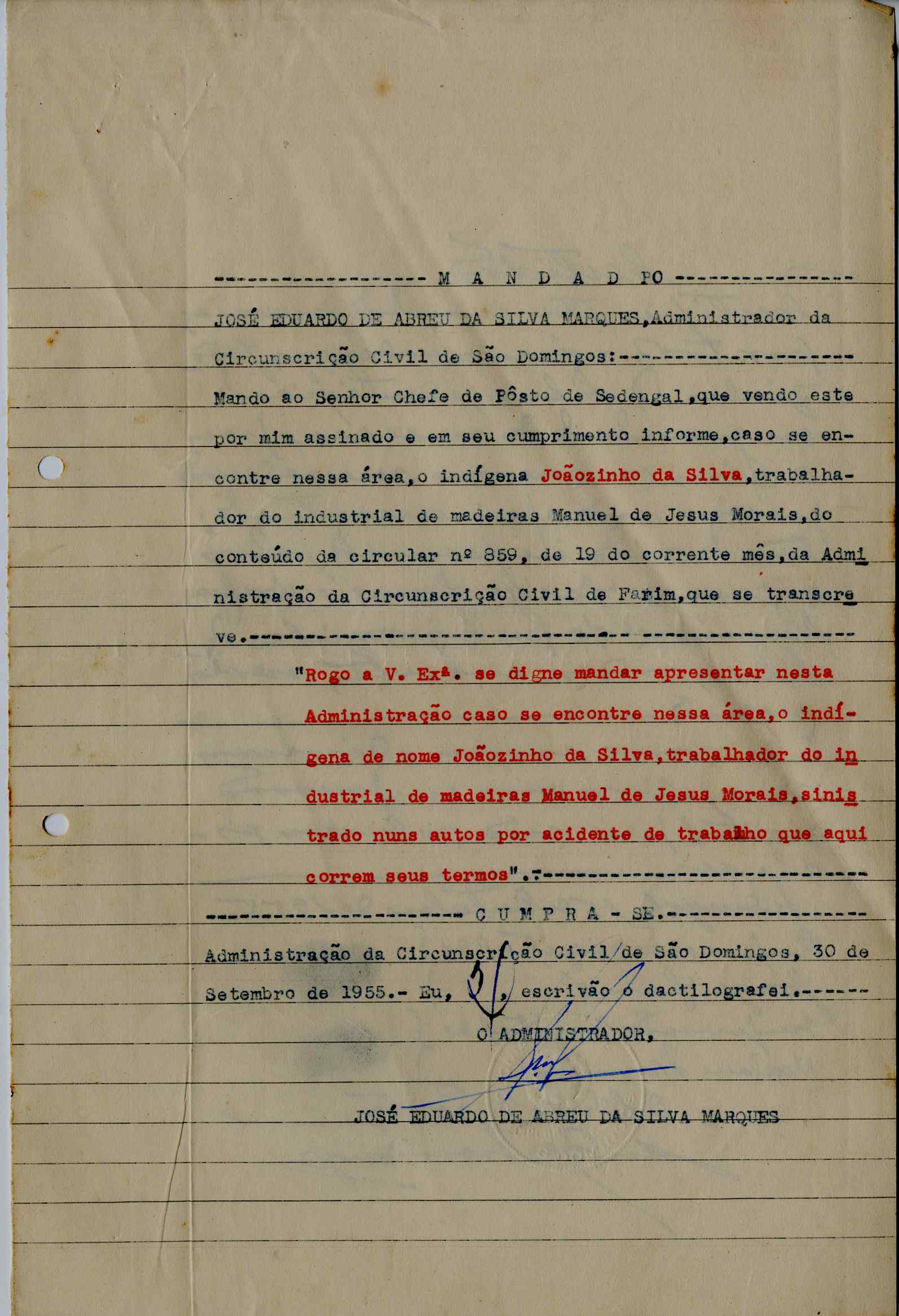 11196.013- pag.225