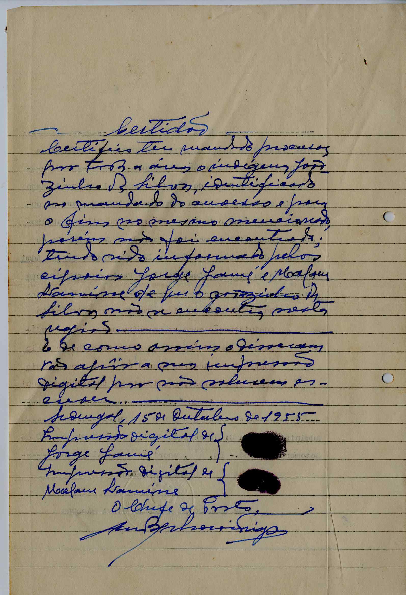 11196.013- pag.226
