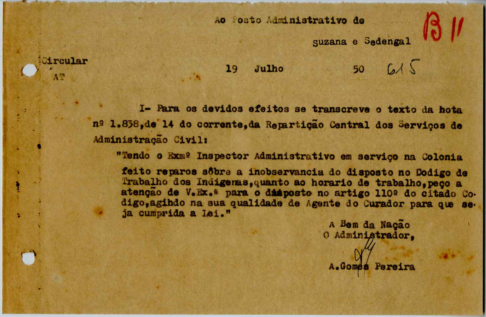 11196.013- pag.267