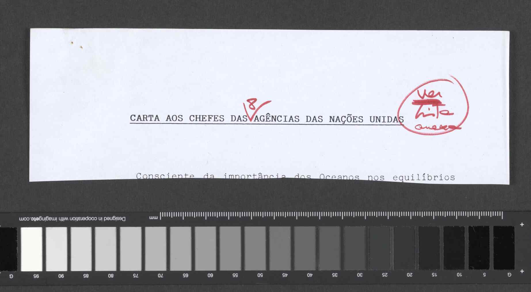 11684.021- pag.19