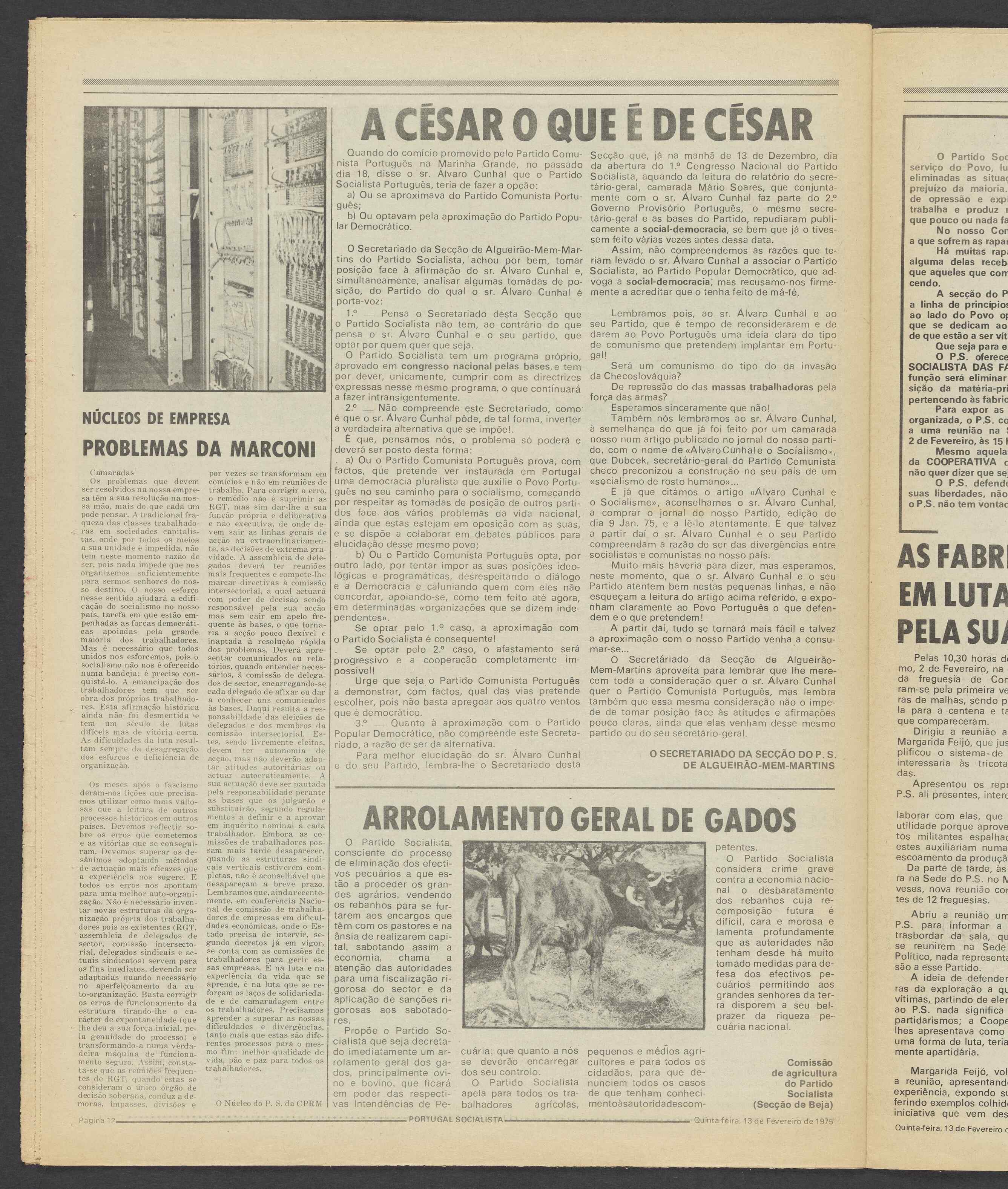 12264.009- pag.12