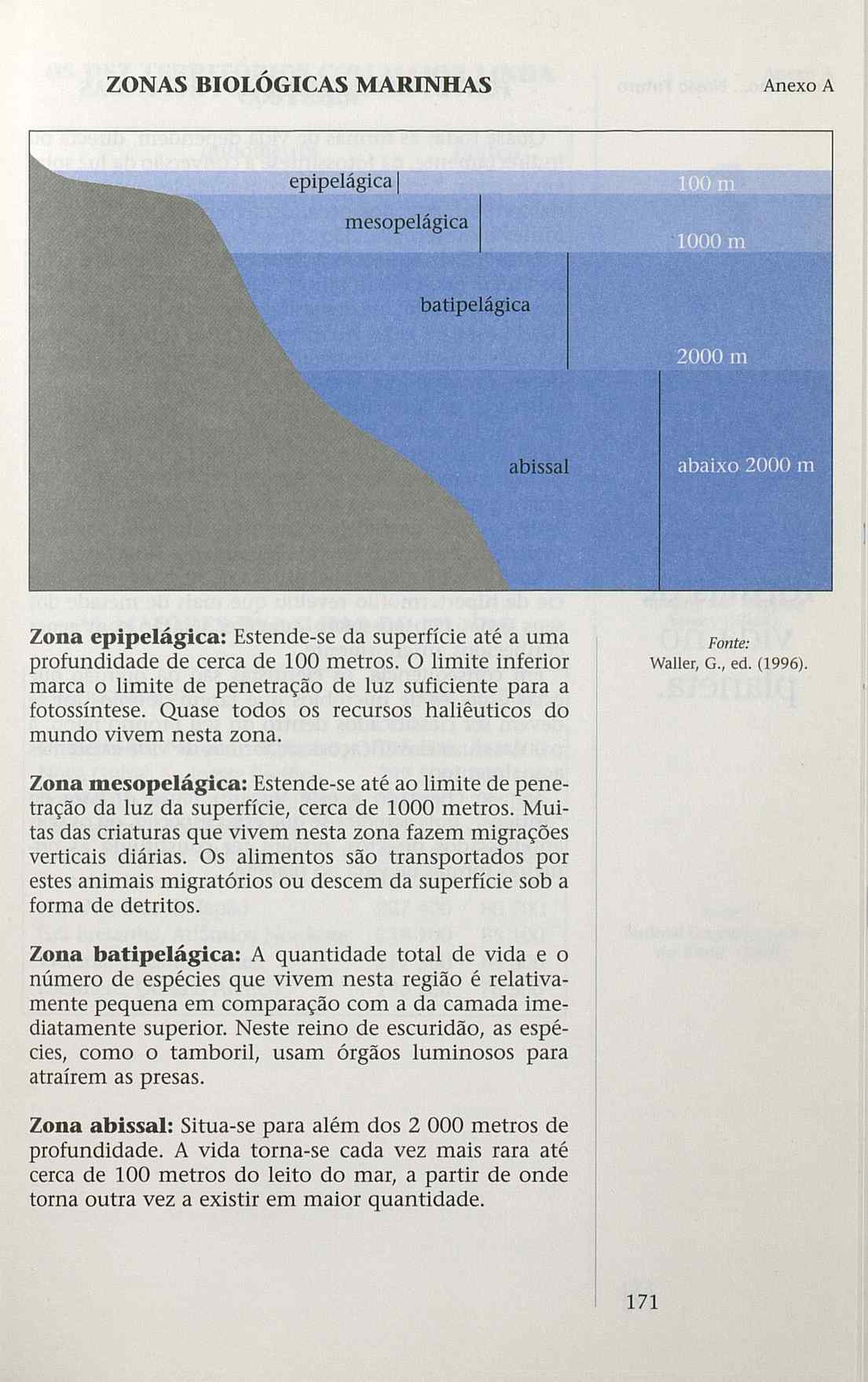 023983- pag.173