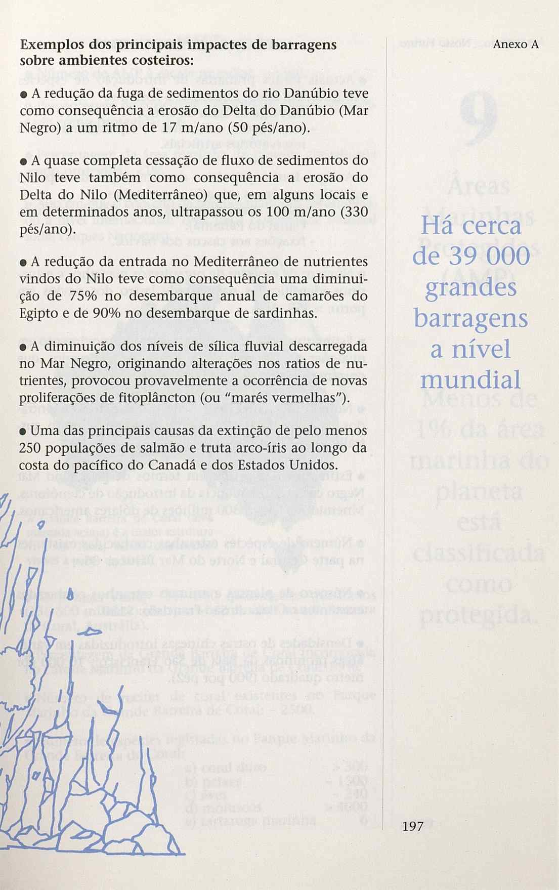 023983- pag.199